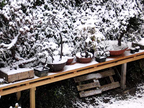 winter1.jpg