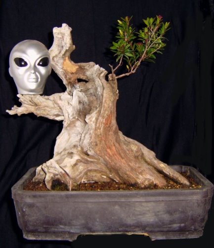 Geist.jpg