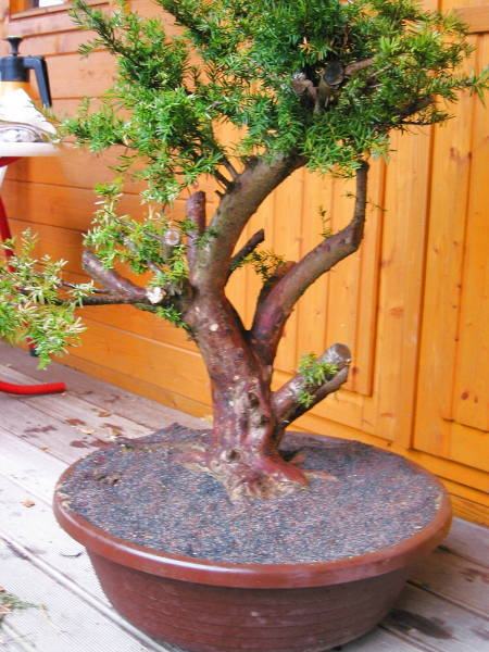 eibe 142-4280_IMG.jpg