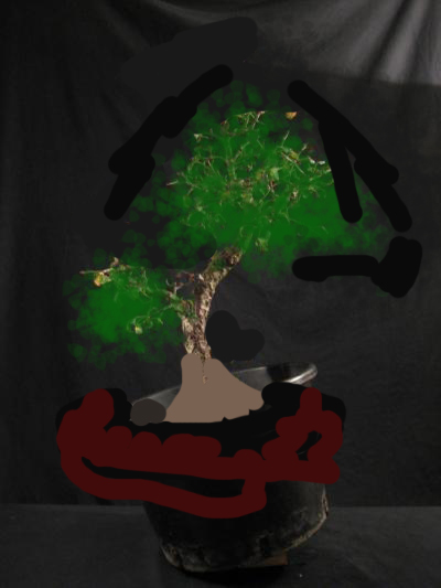 ???
