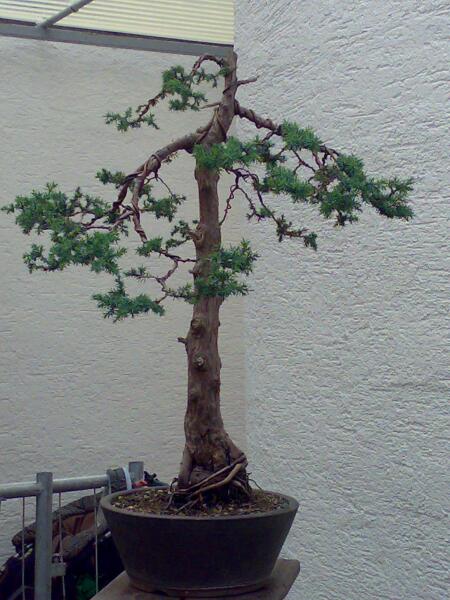 25062007098.jpg