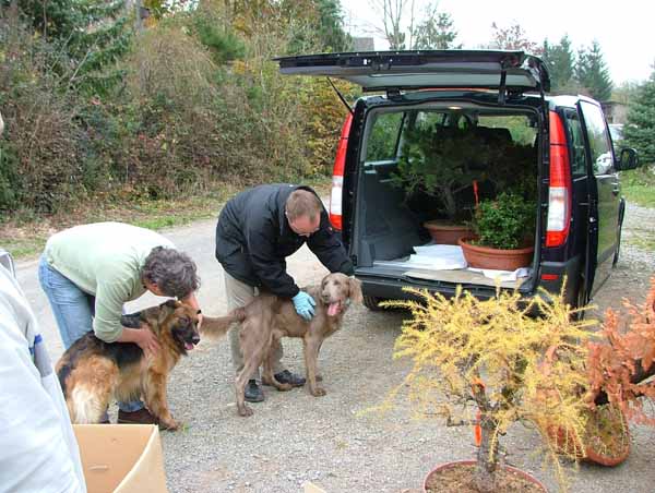 Wer Bäume liebt, mag auch Tiere