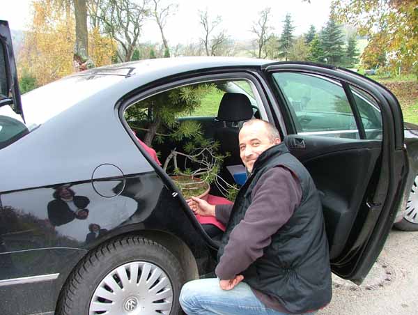 Uwe bringt seine Kiefer und meine Hainbuche in seine Pkw unter