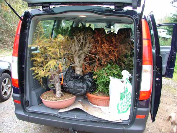 Nun wird's voll im Auto