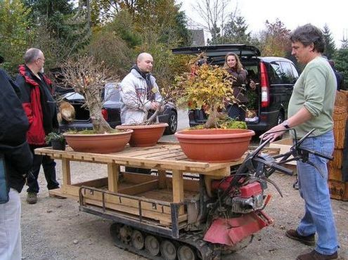 neue Bilder 837573.jpg