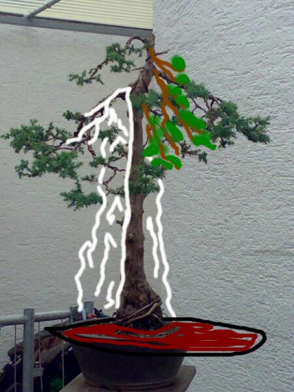 25062007098.JPG
