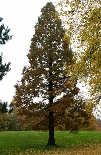 PICT0013.jpg