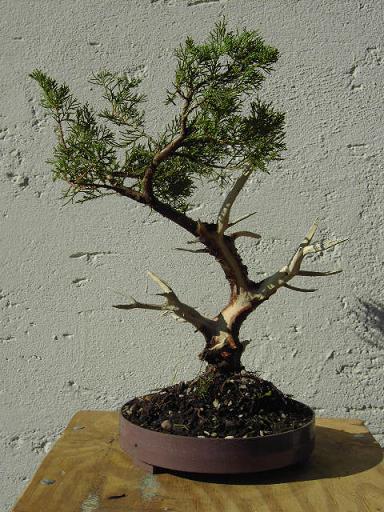 PICT3570.JPG