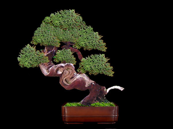 itoigawa_1.jpg