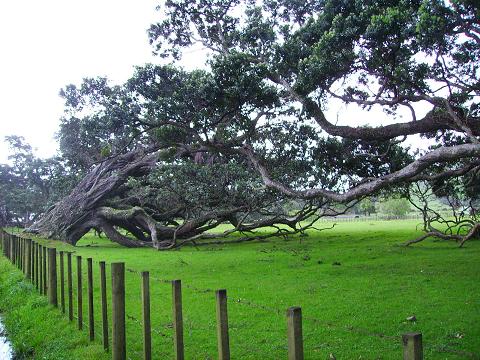 PICT0283.JPG