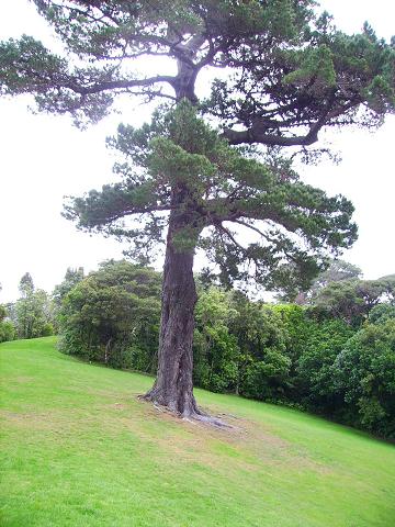 PICT0068.JPG