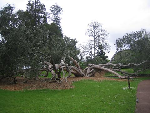 IMG_2795.JPG