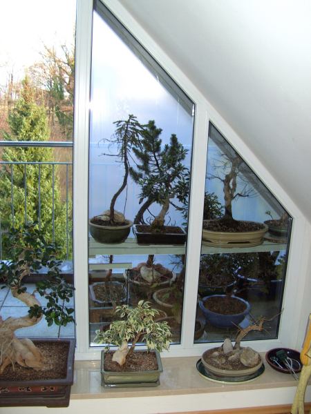 Blick vom Wohnzimmer direkt ins Winterquartier
