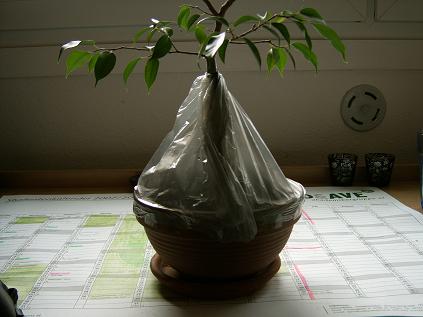 IMG00002.JPG