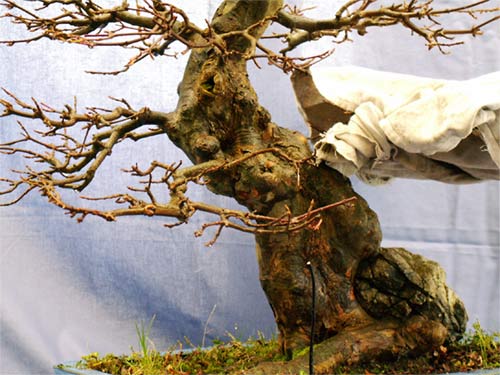 Detail2.jpg
