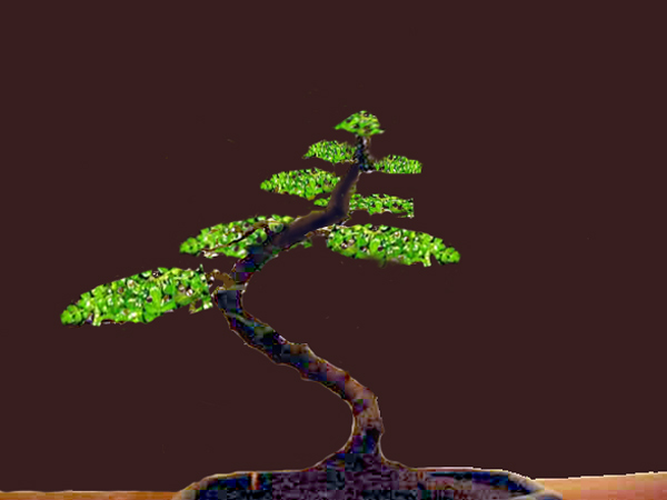 Pfeffer_Virtual.jpg