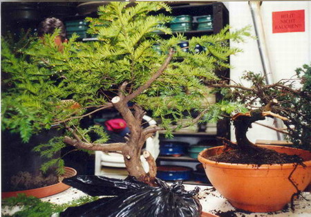 052.Noelander.02.JPG