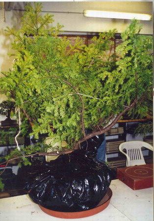 052.Noelander.01.JPG