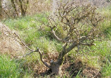 Frühjahr 2005