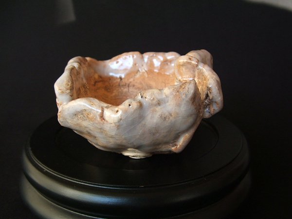 Top-DSCF2887.jpg