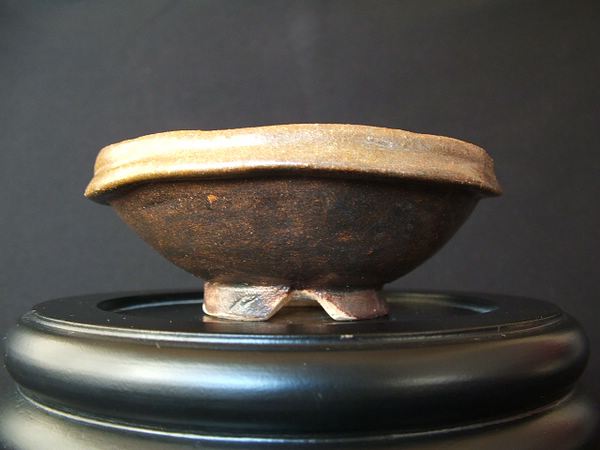 Top-DSCF2882.jpg
