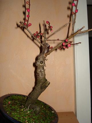 DSC02157.JPG