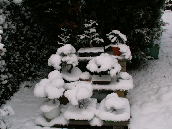 tPICT0087.jpg