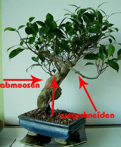 vorderansicht_129 Kopie.jpg