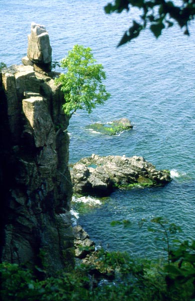 Felsenpflanzung