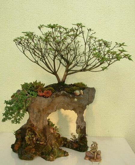 Felsen ca.20cm hoch.