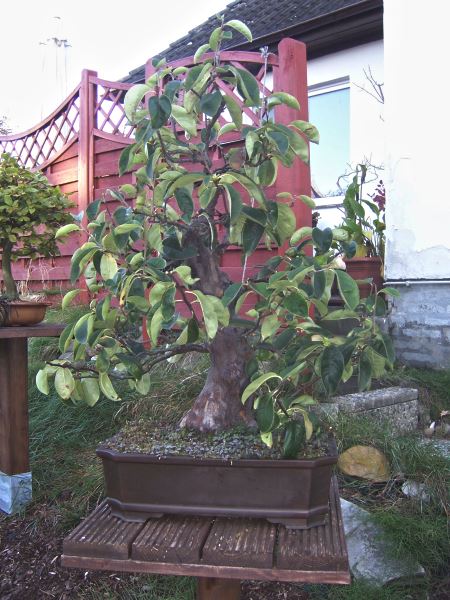 Bild aus 2007 Herbst