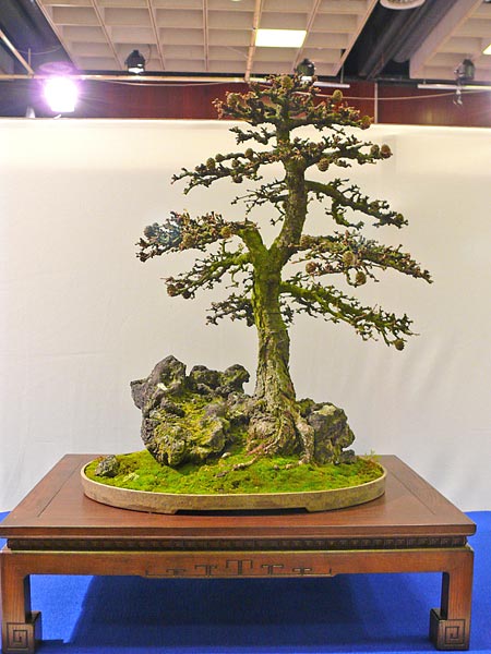 P1030335.jpg