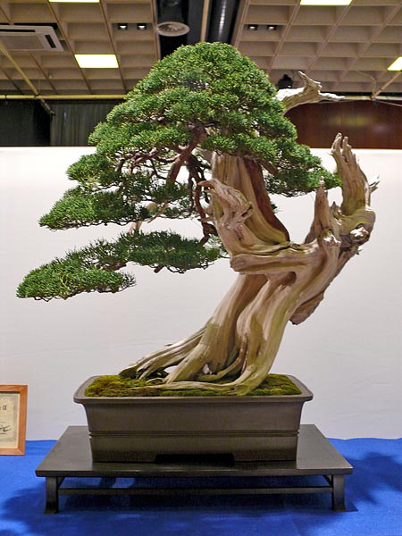 P1030333.jpg