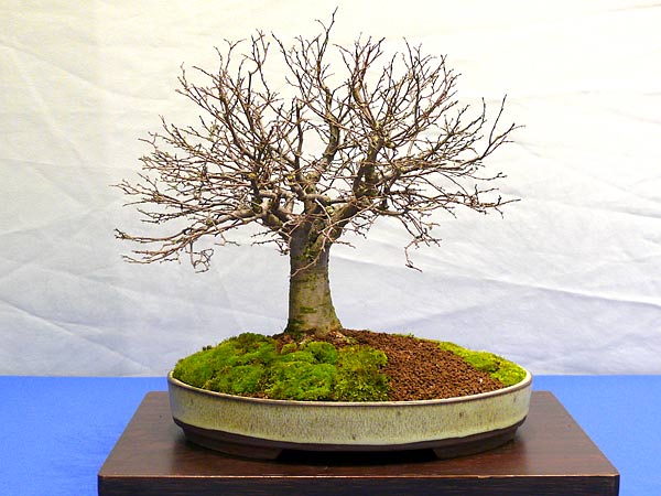 P1030329.jpg