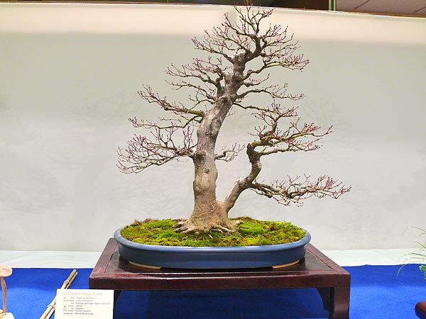 P1030349.jpg