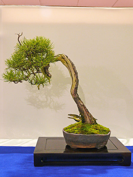 P1030353.jpg