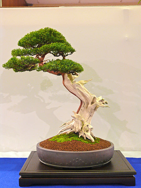 P1030350.jpg