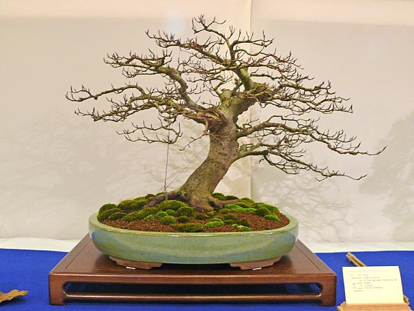 P1030379.jpg