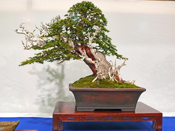 P1030383.jpg