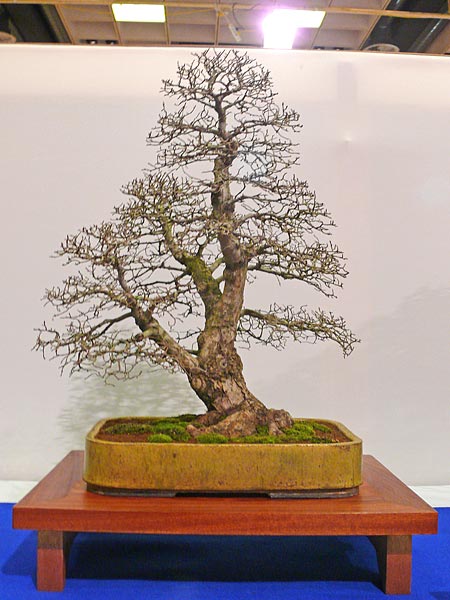 P1030391.jpg