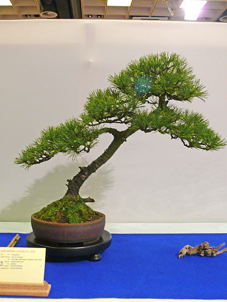 P1030390.jpg