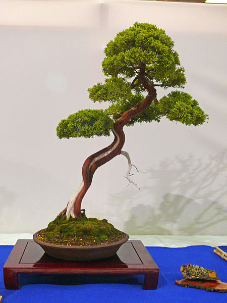 P1030396.jpg