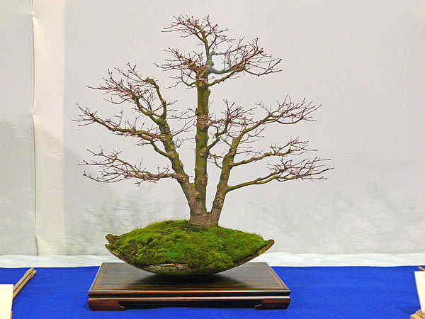 P1030394.jpg