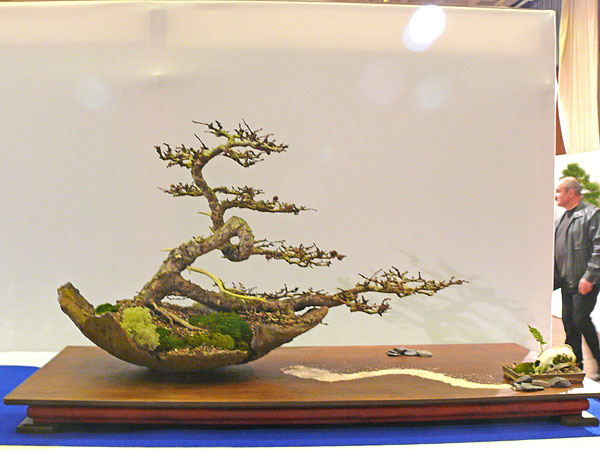 P1030402.jpg
