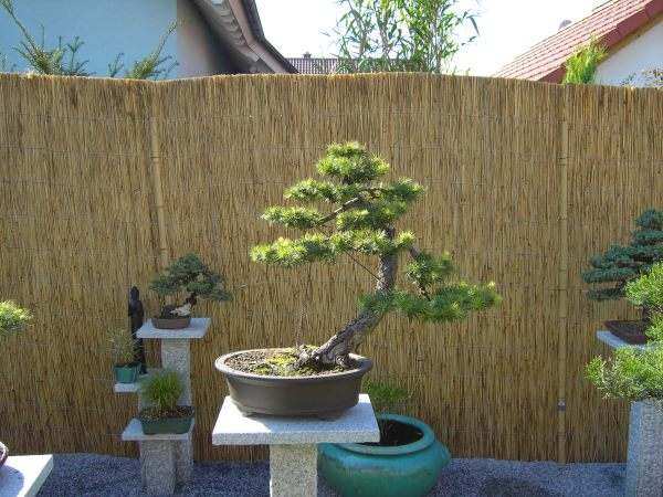 Garten klein 8.jpg