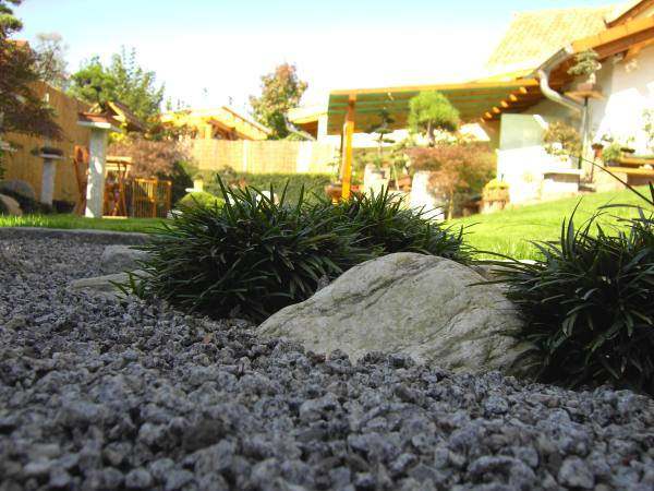 Garten klein 4.jpg