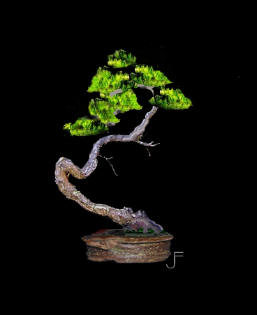 wolfgangpinus.jpg