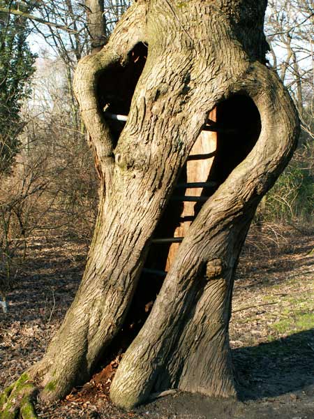 ausgefault-2.jpg