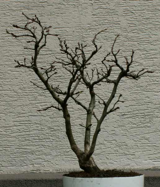 05 Dreier2.jpg