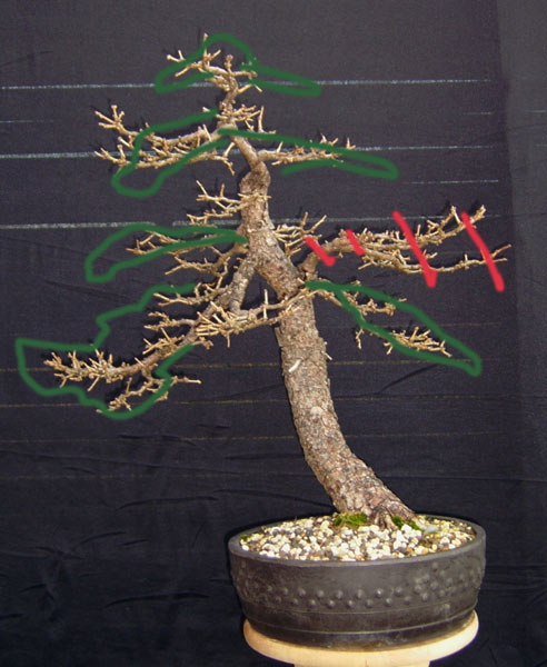 b-0092jpg.jpg